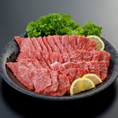 くまもと黒毛和牛　焼肉　500g(宇土市)