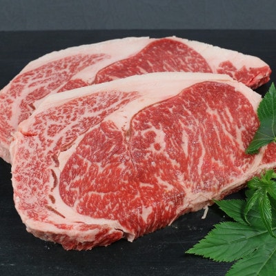 氷温熟成　黒毛和牛ロースステーキ　500g(宇土市)