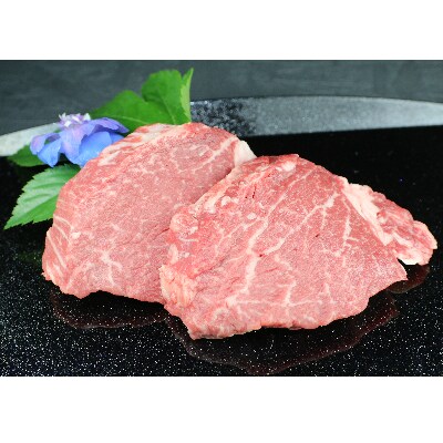氷温熟成　熊本県産黒毛和牛　ヒレステーキ300g(宇土市)