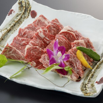 肥後の赤牛　ロース焼肉用500g(宇土市)