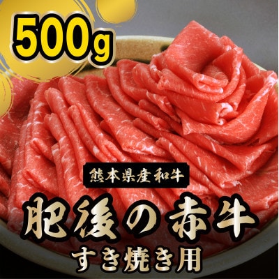 肥後の赤牛　すきやき用　500g　(宇土市)