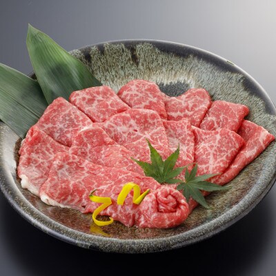 【毎月定期便】肥後の赤牛　ロースすき焼き用500g(宇土市)全3回