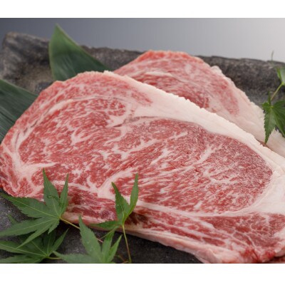 【毎月定期便】氷温熟成　黒毛和牛ロースステーキ　500g(宇土市)全3回