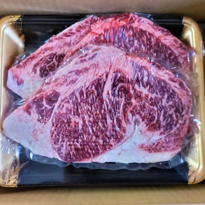 【毎月定期便】氷温熟成　黒毛和牛ロースステーキ　500g(宇土市)全3回