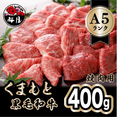 A5ランクのくまもと黒毛和牛　焼肉用　約400g(宇土市)