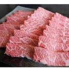 厳選されたGI認証　くまもとあか牛　特選焼肉用　500g(宇土市)