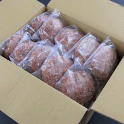 【毎月定期便】桜屋　馬肉ハンバーグ　150g×10個(宇土市)全3回