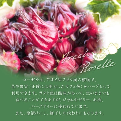 熊本ハーブ園レモングラス　フレッシュローゼル(約1kg)