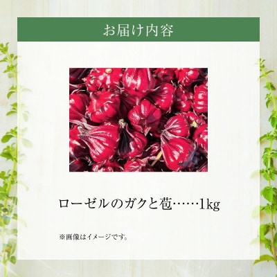 熊本ハーブ園レモングラス　フレッシュローゼル(約1kg)