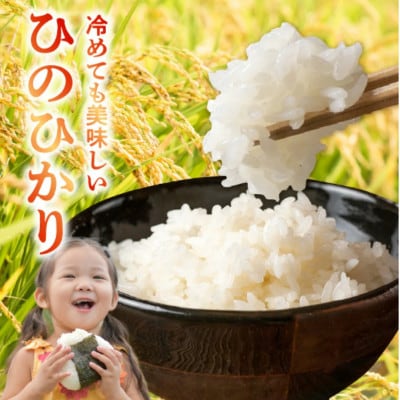 【先行予約】令和8年産米 那須自然農園「ひのひかり」白米3kg