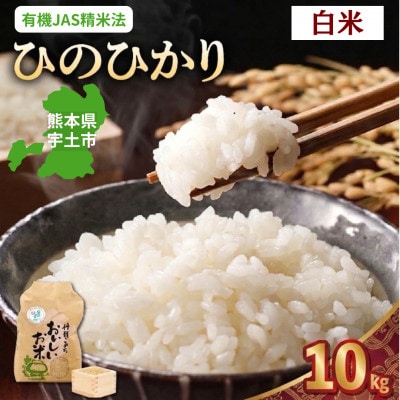 【先行予約】令和8年産米 那須自然農園「ひのひかり」白米10kg