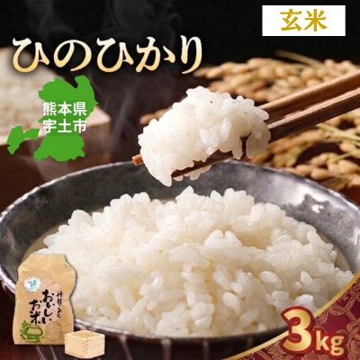 【先行予約】令和8年産米 那須自然農園「ひのひかり」玄米3kg