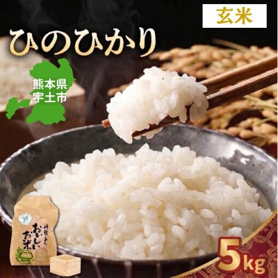 【先行予約】令和8年産米 那須自然農園「ひのひかり」玄米5kg