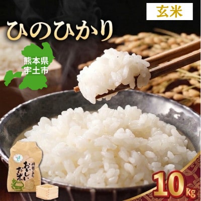 【先行予約】令和8年産米 那須自然農園「ひのひかり」玄米10kg