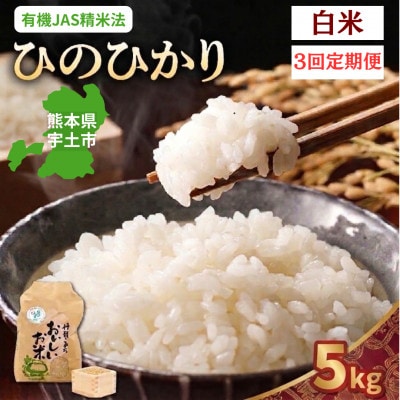 【毎月定期便】熊本県宇土市　那須自然農園「ひのひかり」白米5kg全3回