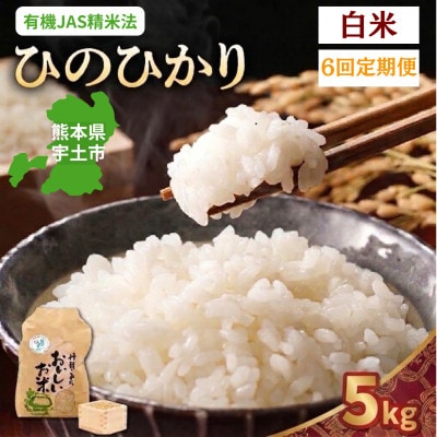 【毎月定期便】熊本県宇土市　那須自然農園「ひのひかり」白米5kg全6回