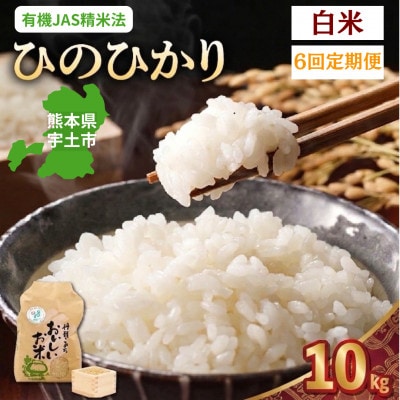 【毎月定期便】熊本県宇土市 那須自然農園「ひのひかり」白米10kg全6回