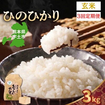 【毎月定期便】熊本県宇土市 那須自然農園「ひのひかり」玄米3kg全3回