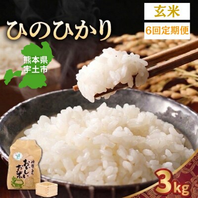 【毎月定期便】熊本県宇土市　那須自然農園「ひのひかり」玄米3kg全6回