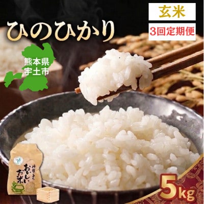 【毎月定期便】熊本県宇土市　那須自然農園「ひのひかり」玄米5kg全3回