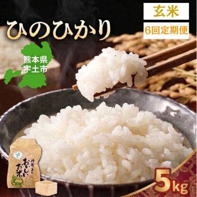 【毎月定期便】熊本県宇土市　那須自然農園「ひのひかり」玄米5kg全6回