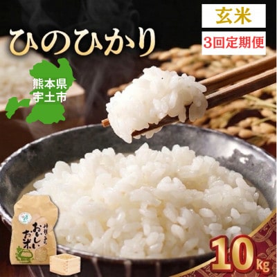 【毎月定期便】熊本県宇土市　那須自然農園「ひのひかり」玄米10kg全3回