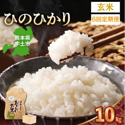 【毎月定期便】熊本県宇土市 那須自然農園「ひのひかり」玄米10kg全6回