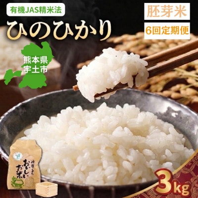 【毎月定期便】熊本県宇土市　那須自然農園「ひのひかり」胚芽米3kg全6回