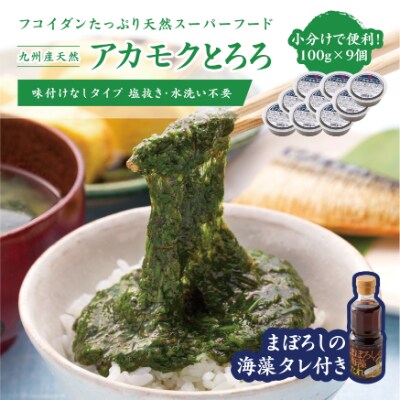 2021年9月発送開始『定期便』国産　天然あかもくとろろ　100g×9個セット　海藻たれ付き全3回