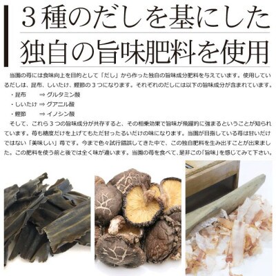 熊本県宇土産 糖度13度以上保証 園村苺園のブランド苺「極幸乃香」600g