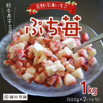 熊本県宇土産　完熟冷凍いちご「ぷち苺」1kg(500g×2袋) 園村苺園
