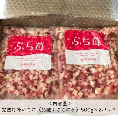 熊本県宇土産　完熟冷凍いちご「ぷち苺」1kg(500g×2袋) 園村苺園