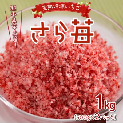 熊本県宇土産　完熟冷凍いちご「さら苺」1kg(500g×2袋) 園村苺園
