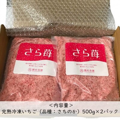 熊本県宇土産　完熟冷凍いちご「さら苺」1kg(500g×2袋) 園村苺園