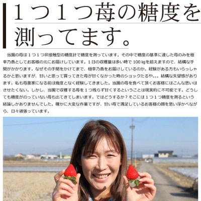 【2025年2月～3月発送】熊本県宇土産 糖度12度以上保証 園村苺園ブランド苺「極幸乃香」600g