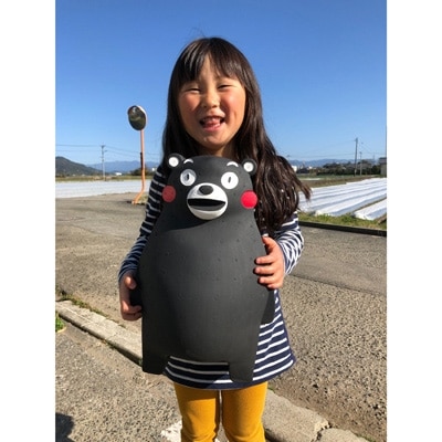 熊本県宇土産 園村苺園の完熟さちのか苺 in くまモン 500g