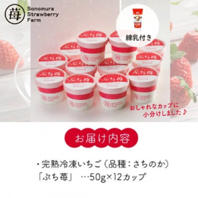 熊本県宇土産 完熟冷凍いちご「ぷち苺」12カップ 練乳付き 園村苺園
