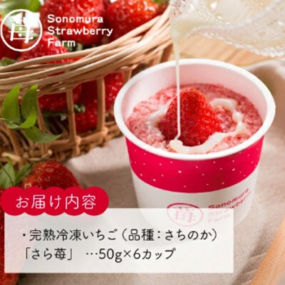熊本県宇土産 完熟冷凍いちご「さら苺」6カップ 練乳付き 園村苺園