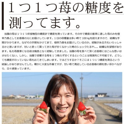 先行予約!2026年2月より発送 糖度12度以上保証 園村苺園のブランド苺「極幸乃香」 600g
