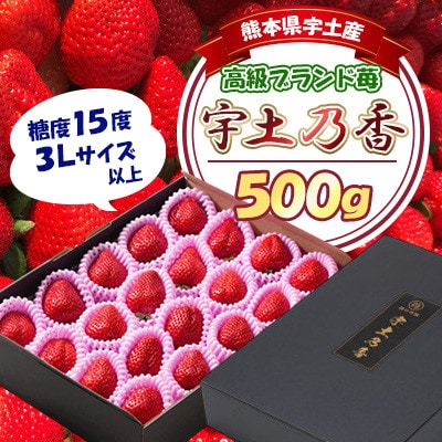 先行予約!園村苺園 高級ブランド 苺「宇土乃香」 糖度15度以上 3Lサイズ以上 500g