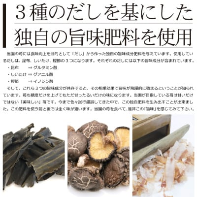 先行予約!園村苺園 高級ブランド 苺「宇土乃香」 糖度15度以上 3Lサイズ以上 500g