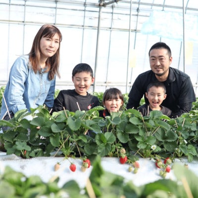 先行予約!園村苺園 高級ブランド 苺「宇土乃香」 糖度15度以上 3Lサイズ以上 500g