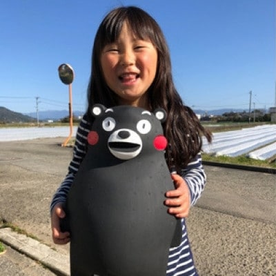 先行予約!2026年2月以降順次発送 園村苺園の完熟さちのか苺inくまモン 500g