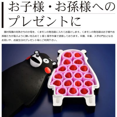  先行予約! 園村苺園の完熟さちのか苺inくまモン 500g