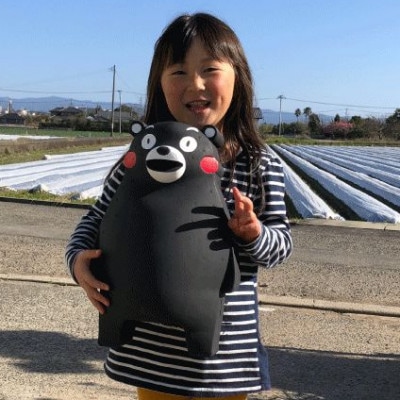 先行予約! 園村苺園の完熟さちのか苺inくまモン 500g