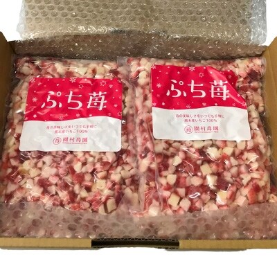 2020年1月発送開始『定期便』完熟冷凍いちご「ぷち苺」1kg(500g×2パック)全12回