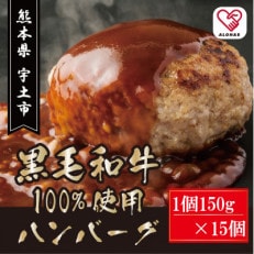 黒毛和牛ハンバーグ　150g×15個(宇土市)