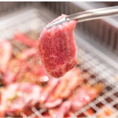 氷温熟成　黒毛和牛　焼肉　800g(炙り焼きしゃぶ)
