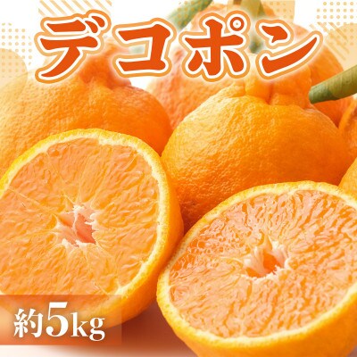 【2023年2月より順次発送】熊本産 デコポン 約5kg 12~18玉(宇土市)