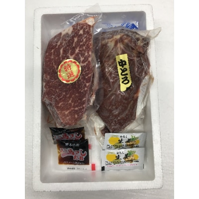 馬刺セット400g(中トロ・霜降り各200g)※タレ・生姜付(宇土市)